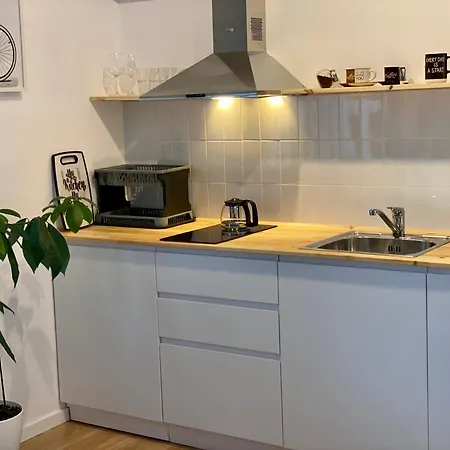 Lucas Oasis * Tirana