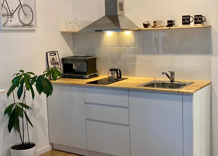 Lucas Oasis * Тирана